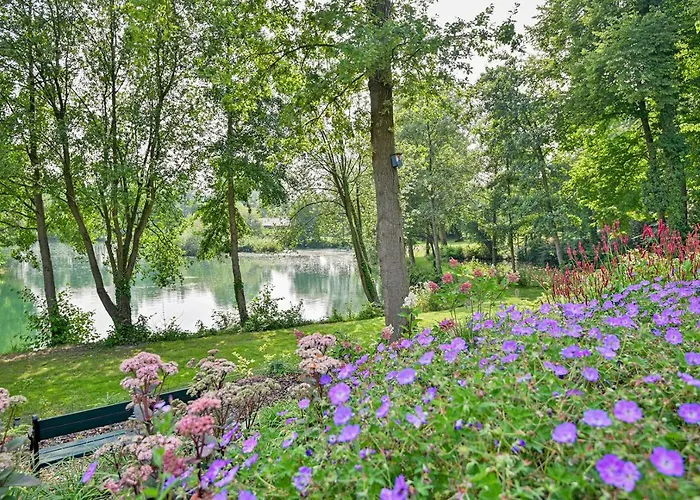 De Gouden Forel * غولبين